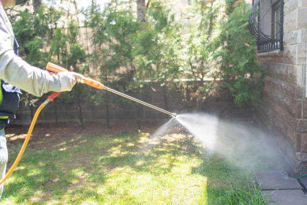 Best Insect Control  in North Lauderdale, FL