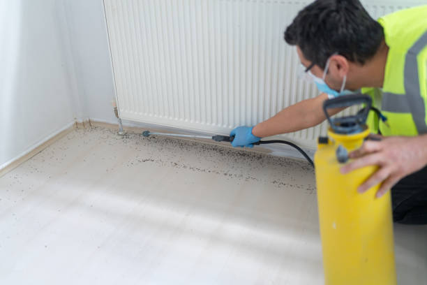 Best Affordable Pest Control Services  in North Lauderdale, FL